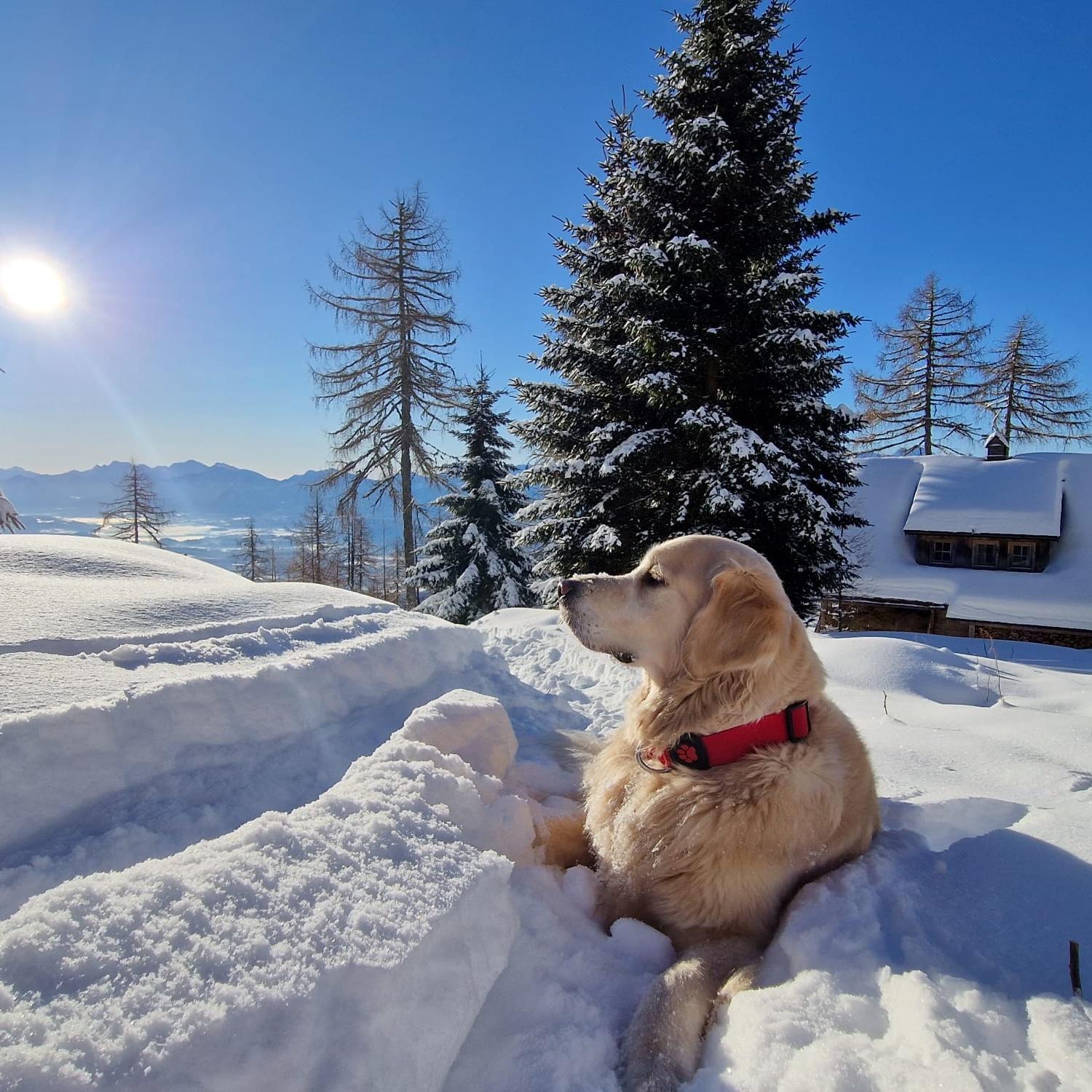 Chalet Petit Kanzelhohe Luaran gambar